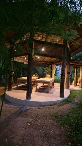 Sense Rainforest Traditional