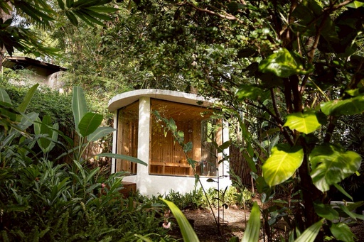Sense Rainforest Package